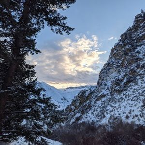 Meet your Posher, Zoey